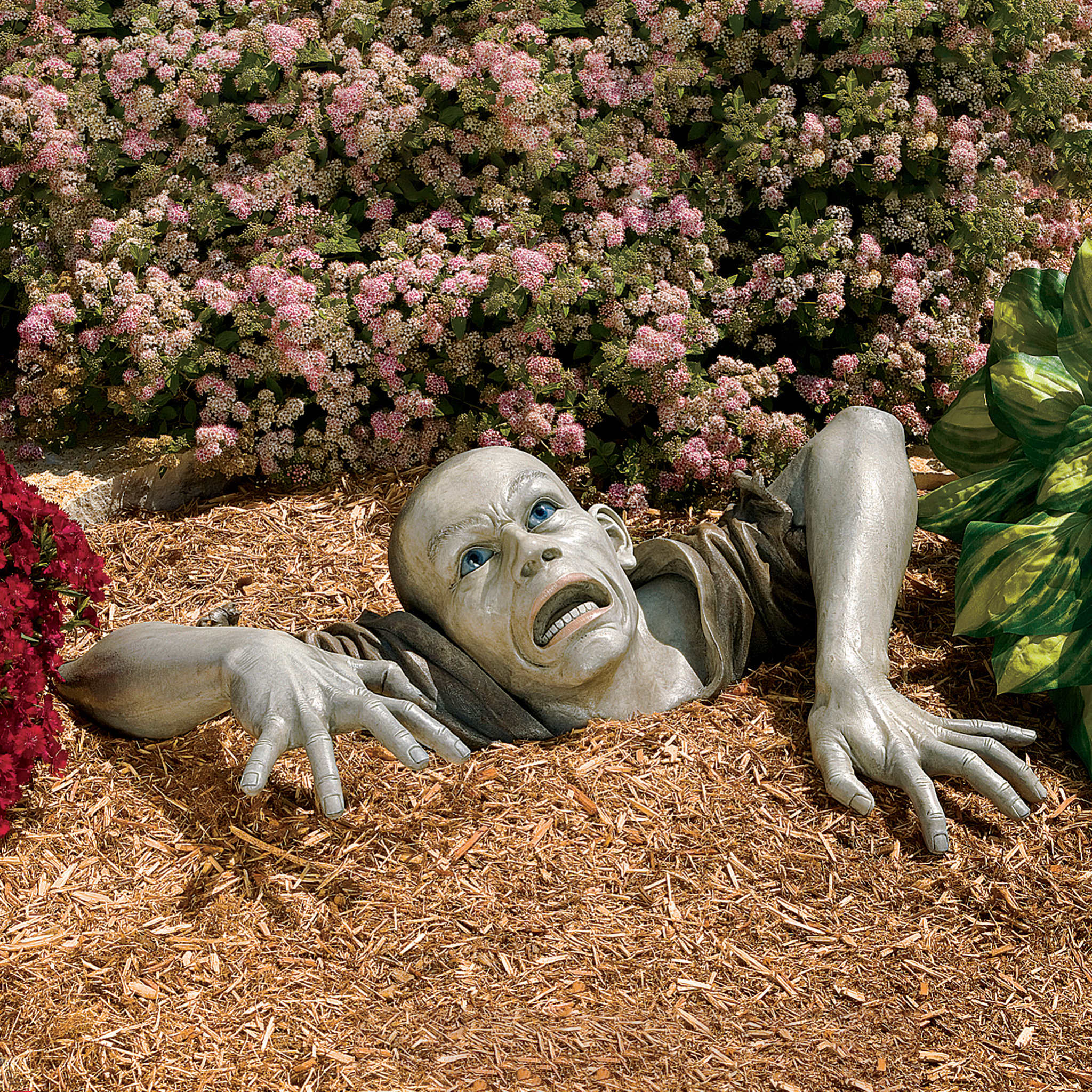 Design Toscano The Zombie of Montclaire Moors Statue & Reviews